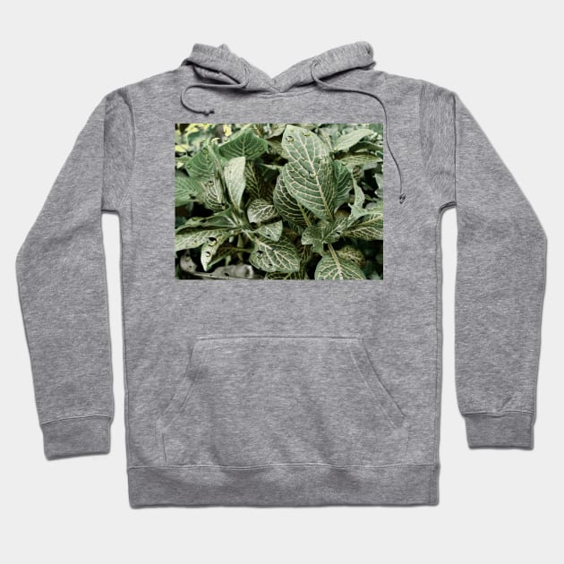 Nature V Hoodie by infloence